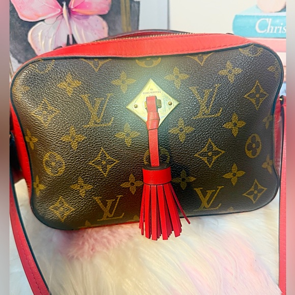 Louis Vuitton Cherry Monogram Canvas Saintonge Crossbody Bag - Picture 5 of 13